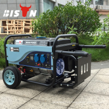 Bison China Zhejiang Biogas Marine Generator 4KW Single Cylinder Methane Gas Powered Generator Set